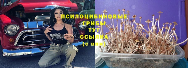 прущие крисы Абаза