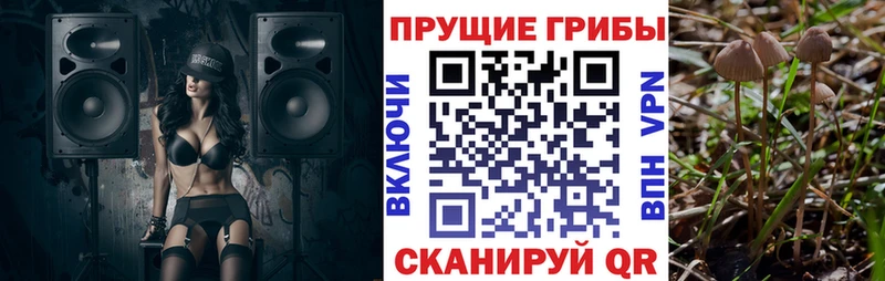 Псилоцибиновые грибы Cubensis  Агидель 